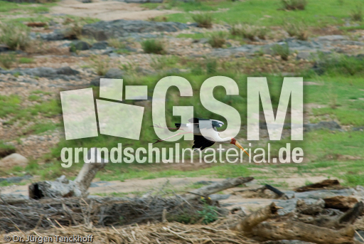 Nimmersatt (15 von 22).jpg